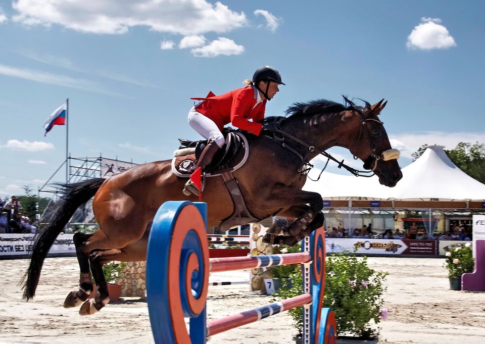 Oldest Olympian faced possible equestrian 'termination'